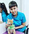 Стрижка (груминг) кошек и собак Петрозаводск